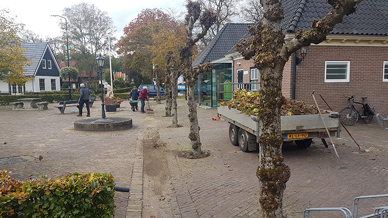 bomen snoeien dorpshuus 2020