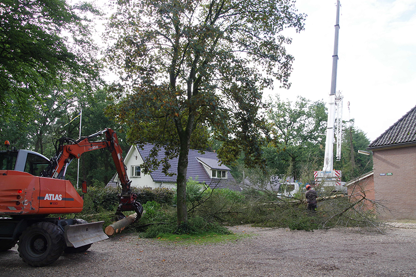 bomen weghalen dorpshuus