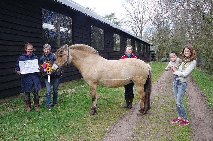 cheque fjordenmanege hoenderloo 2