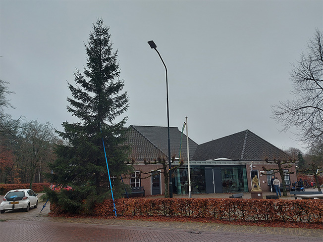 dorpskerstboom kaal 2025