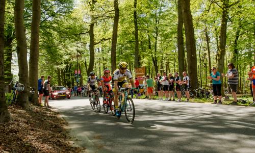 images/home2/Giro2016-001.jpg