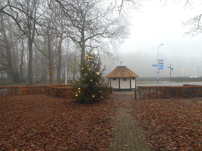 kerstbomen plaatsen 2020 2