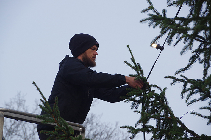 kerstboom plaatsen 2021 2