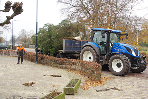 kerstboom plaatsen 2022 3