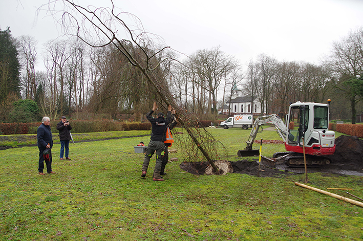 plaatsen boom begraafplaats 2023 1