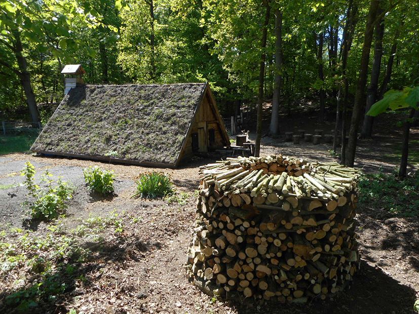 plaggenhut 1
