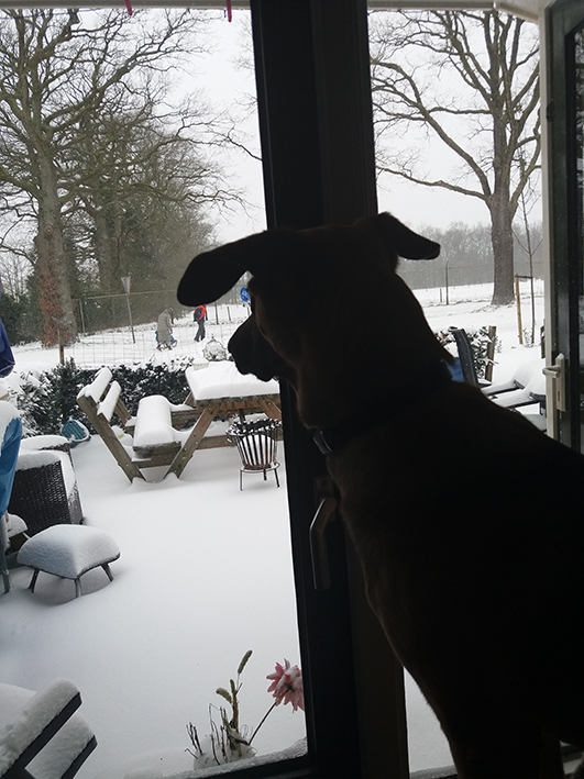 sneeuwfoto 2021 3