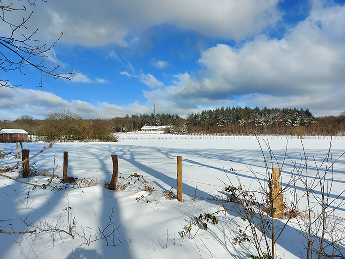 sneeuwfoto 2021 9 weiland met kampheuvel