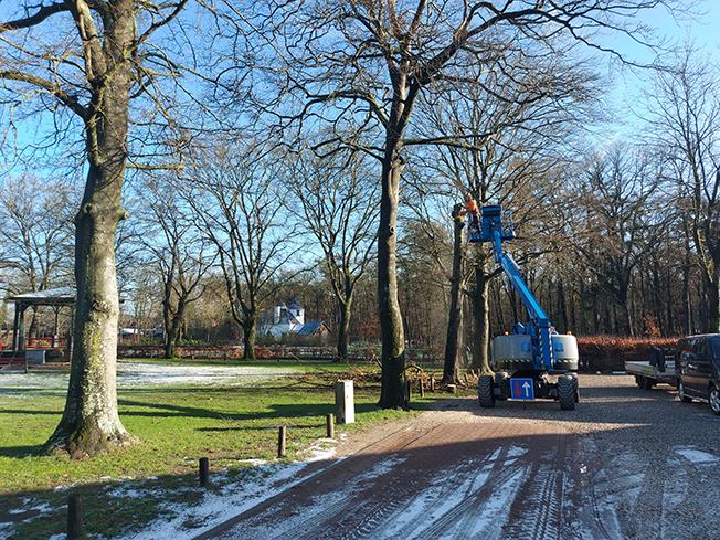 snoeien bomen muziekbos 2023